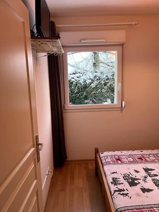 Le Petit Bonhomme De Neige Apartment Gerardmer Bagian luar foto